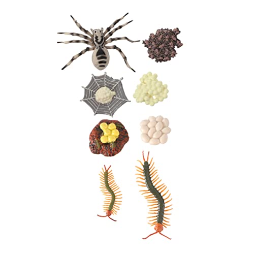 Cabilock 2 Sätze Tarantula Hundertfüßer Lebenszyklus Modelle Kognitive Spielzeuge für Lernen Dekorative Figuren aus Leichtem für Kreative Lehrreiche Aktivitäten von Cabilock