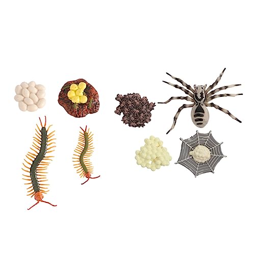 Cabilock 2 Sätze Tarantula Lebenszyklus Modelle Kognitive Lernspielzeuge für Biologische Evolution Modelle Pädagogische Spielwaren für Besseres Verständnis Cabilock 2 Sätze Tarantula Lebenszyklus Modelle Kognitive Lernspielzeuge für Biologische Evolution Modelle Pädagogische Spielwaren für Besseres Verständnis von Cabilock