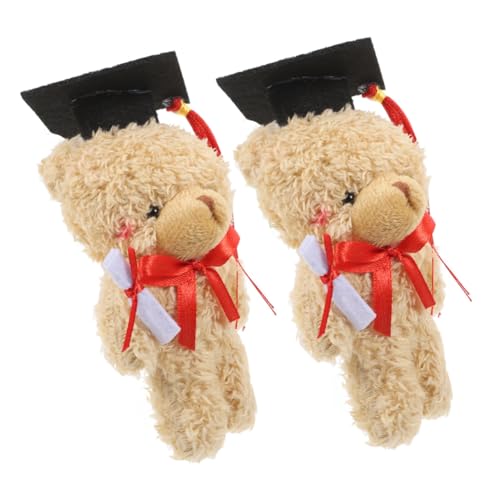 Cabilock 2 Stück Doktorbär Kuscheltier Graduation Season Bär mit Eleganter Blumenstrauß Verpackung Langlebiges Abschlussgeschenk für Studenten Festliche Dekoration für Zeremonien und von Cabilock