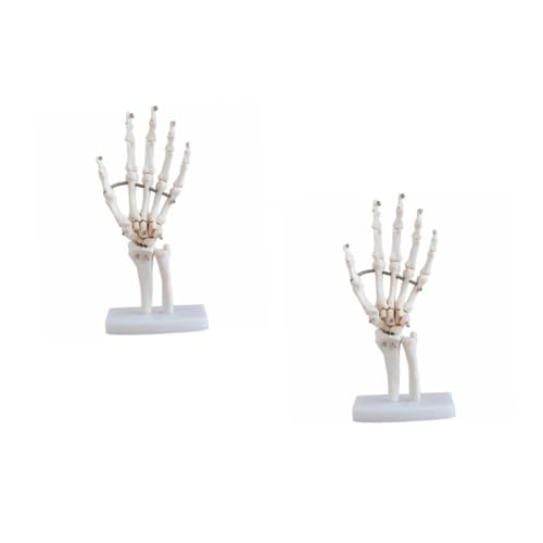 Cabilock 2 Stück Handknochenmodell Simulation Handmodell Simulation menschliches Skelettprops voll werkzeug Handskelettmodell mit Sockel wissenschaftliche Unterrichtsmaterialien PVC Weiß von Cabilock