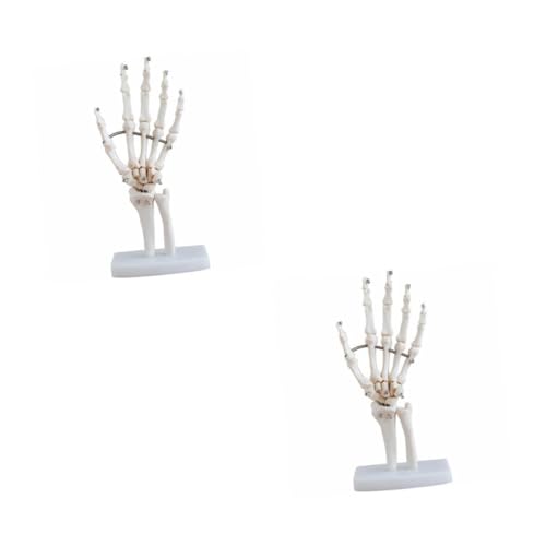 Cabilock 2 Stück Handknochenmodell gemeinsam voll Simulation menschliches Skelettprops Handskelettmodell werkzeug Anatomisches Modell des Handskeletts Handgelenk-Simulationsmodell PVC Weiß Cabilock 2 Stück Handknochenmodell gemeinsam voll Simulation menschliches Skelettprops Handskelettmodell werkzeug Anatomisches Modell des Handskeletts Handgelenk-Simulationsmodell PVC Weiß von Cabilock