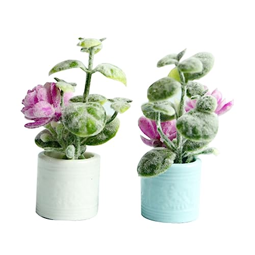 Cabilock 2 Stück Mini Möbel Modell Mini Bonsai Dekoration für Puppenhaus Keramische Topfpflanzen für Stilvolle Innendekoration DIY Zubehör von Cabilock