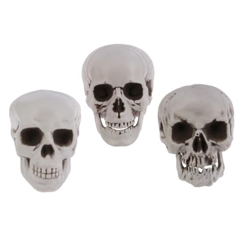 Cabilock 3 Stück Teiliges Halloween Deko Set Realistische Kunststoff Schädel Modell Gruselige Party Requisiten für Bar Wohnzimmer Dekoration von Cabilock