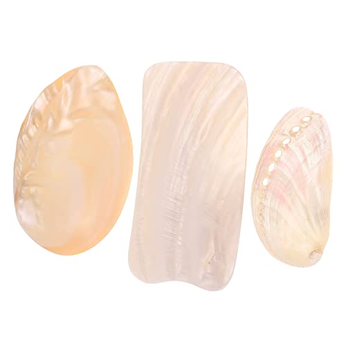 Cabilock 3 Stück Teiliges Natürliche Muscheldekoration für Fotografie Kreatives Accessoire für Schmuckpräsentationen Stilvolles Wohnaccessoire für Strandpartys und DIY Projekte Cabilock 3 Stück Teiliges Natürliche Muscheldekoration für Fotografie Kreatives Accessoire für Schmuckpräsentationen Stilvolles Wohnaccessoire für Strandpartys und DIY Projekte von Cabilock