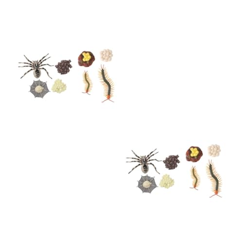 Cabilock 4 Sätze Tarantula Wachstumszyklus Modelle Lernspielzeug Evolution Modell Kognitive Spielzeuge für Heimdekoration Unterrichtsmodelle Cabilock 4 Sätze Tarantula Wachstumszyklus Modelle Lernspielzeug Evolution Modell Kognitive Spielzeuge für Heimdekoration Unterrichtsmodelle von Cabilock