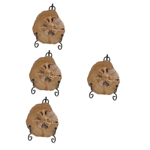 Cabilock 4 Stück Ammonitenfossil Ammoniten-Ornament Ammonitenmodelle zur Dekoration Ammonitenmodelle als Ornament Ammoniten-Exemplar Ammonitenmodelle als Ammonitendekorationen Cabilock 4 Stück Ammonitenfossil Ammoniten-Ornament Ammonitenmodelle zur Dekoration Ammonitenmodelle als Ornament Ammoniten-Exemplar Ammonitenmodelle als Ammonitendekorationen von Cabilock