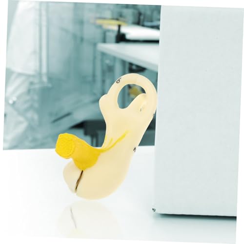 Cabilock Anatomisches Ohrmodell Innenohrstruktur Lehrmodell für Schule Labor Realistisch Handlich Robust Geeignet für Unterricht und Medizinische Ausbildung Cabilock Anatomisches Ohrmodell Innenohrstruktur Lehrmodell für Schule Labor Realistisch Handlich Robust Geeignet für Unterricht und Medizinische Ausbildung von Cabilock