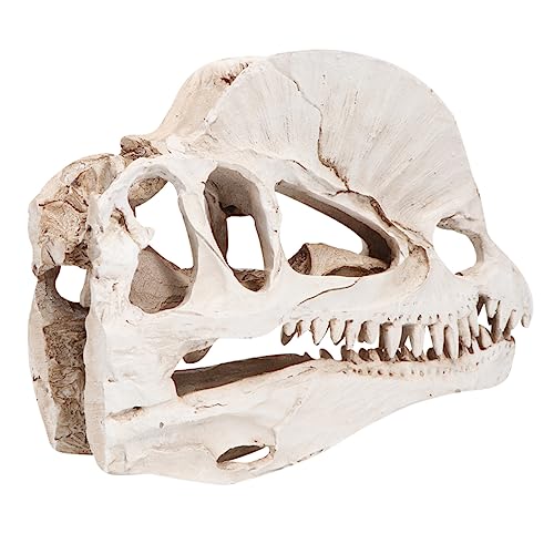 Cabilock Aquarium Dekoration Dinosaurier Skelett aus Synthetischem Harz Stilvolle Schädel Deko für Süß und Salzwasser Langlebiges Aquarium Ornament Kreative Fischbecken Verzierung Khaki von Cabilock