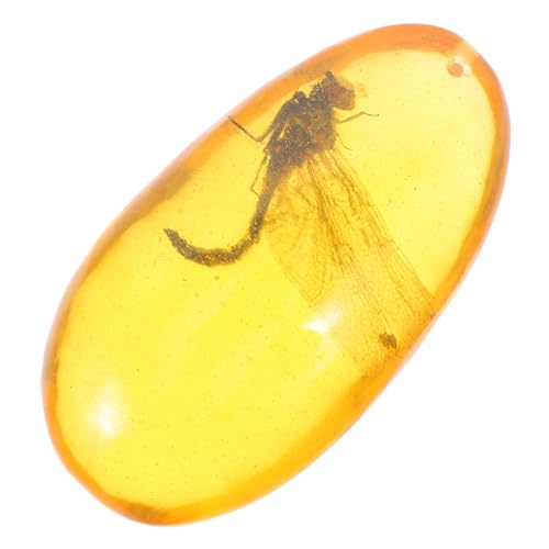 Cabilock Bernstein -Insektenprobe bernsteinfarbenes Insekt Insektenschmuck Wohnkultur Insektenverzierung Insektensteindekor Insektenexemplar Insektensammlung Insektendekor Bernsteine Harz von Cabilock