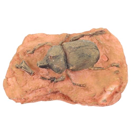Cabilock Fossiliendekoration zum Sammeln für Dekoration Entomologie-Kit Insektenexemplar Insektenproben in der Harzsammlung Harz für Insektenproben paläontologisches Exemplar Cabilock Fossiliendekoration zum Sammeln für Dekoration Entomologie-Kit Insektenexemplar Insektenproben in der Harzsammlung Harz für Insektenproben paläontologisches Exemplar von Cabilock
