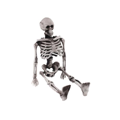 Cabilock Halloween-Skelett-Requisite Bewegliche Gelenke Skelett Simulationsskelett Menschliches Skelettmodell Gefälschte Schädelköpfe Ornamente Plastik Männer Und Frauen Menschlicher Körper von Cabilock