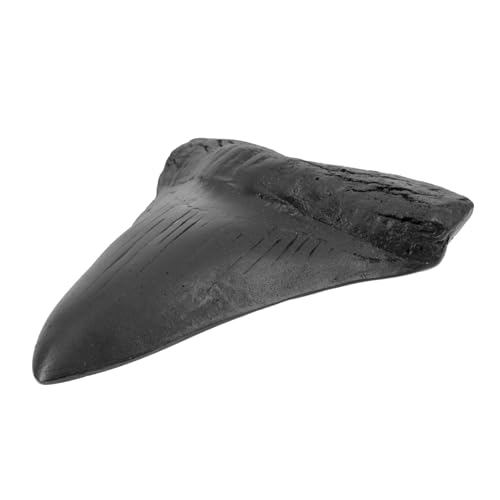 Cabilock Heimdeko Megalodon-Zahnfossil bürodeko büro Dekoration Haifischzähne Figur Megalodon-Zähne Modelle Tiere Figuren Zähne aus Harz real Jahrgang Replik Werkzeug Handhaben von Cabilock