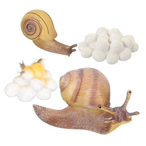 Cabilock Lernspielzeug Schnecken Lebenszyklus Modell Set Realistische Schneckenfiguren aus Hochwertigem Pädagogisches Schneckenwachstum Modell Fördert Kognitive Entwicklung Robust und von Cabilock