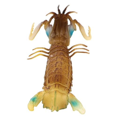 Cabilock Mantis Shrimp Modell aus Langlebigem Lebendige Farben Interessantes Sensorisches Lernspielzeug Tragbar und Dekorativ Geeignet für Geschenk und Sammelobjekt von Cabilock