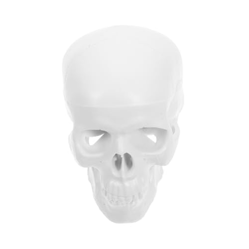 Cabilock Mini Anatomisches Schädelmodell aus Abnehmbar Detailgetreu für Anatomieunterricht Kreative Projekte Kleine für Einfache Handhabung Cabilock Mini Anatomisches Schädelmodell aus Abnehmbar Detailgetreu für Anatomieunterricht Kreative Projekte Kleine für Einfache Handhabung von Cabilock