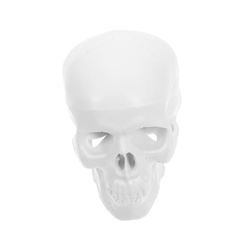 Cabilock Mini Schädelmodell Für Anatomieunterricht Abnehmbares Realistisches Menschliches Schädelornament Langlebige Dekoration Für Lernzwecke Halloween Displays von Cabilock