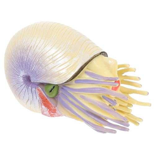 Cabilock Nautilus Modell Realistisches Nautilus für Lehrreiches für Zuhause Schule und Park Tragbar und Langlebig Perfektes für Kleine Cabilock Nautilus Modell Realistisches Nautilus für Lehrreiches für Zuhause Schule und Park Tragbar und Langlebig Perfektes für Kleine von Cabilock