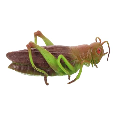Cabilock Realistisches Heuschreckenmodell aus Weichem Pädagogisches Insekten für Lebensechtes Design zur des Lernens für Dekoration und Fördert Cabilock Realistisches Heuschreckenmodell aus Weichem Pädagogisches Insekten für Lebensechtes Design zur des Lernens für Dekoration und Fördert von Cabilock