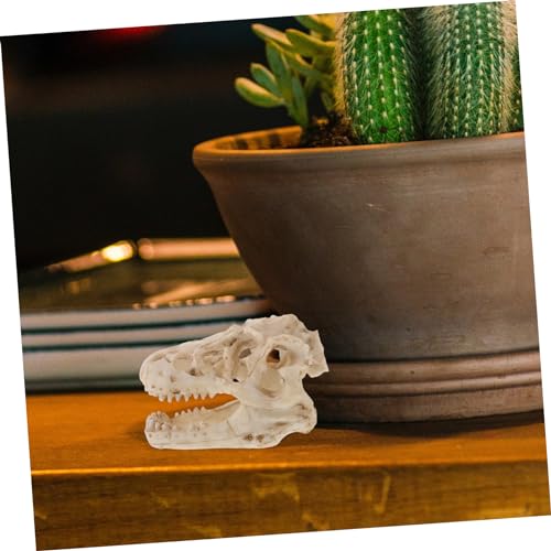 Cabilock Resin Dinosaurier Schädelmodell Detailgetreu Reptilien Deko für Büro und Terrarien Langlebiges Harzmaterial Kompakt für Schreibtisch und Regal Realistisches Sammlerstück von Cabilock