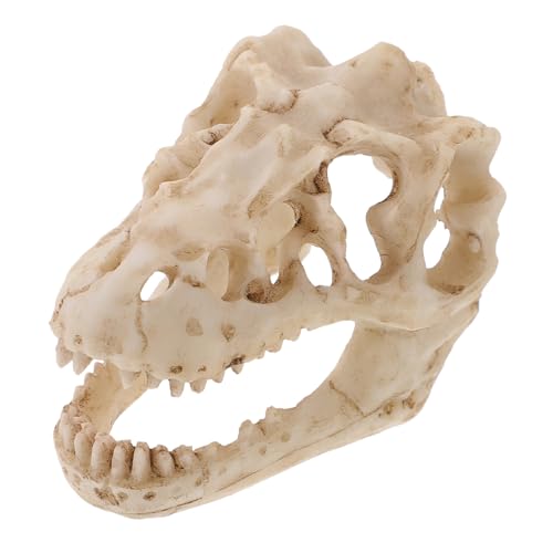 Cabilock Schädelmodell Dinosaurier-Schlafzimmerzubehör Halloween Party Dekoration wunderlich Schädelverzierung Skelett Dinosaurier-Schädel- kleine Totenkopfverzierung Schädelfigur Harz von Cabilock