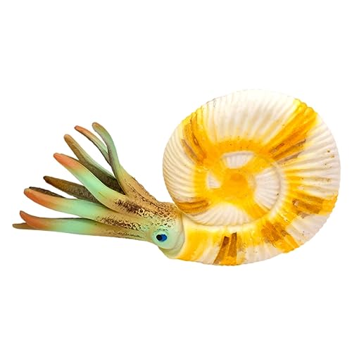 Cabilock Simuliertes Nautilus Modell Meereslebewesen Figur Lernspielzeug Aquarium Deko Tischdeko Pädagogisch Cabilock Simuliertes Nautilus Modell Meereslebewesen Figur Lernspielzeug Aquarium Deko Tischdeko Pädagogisch von Cabilock