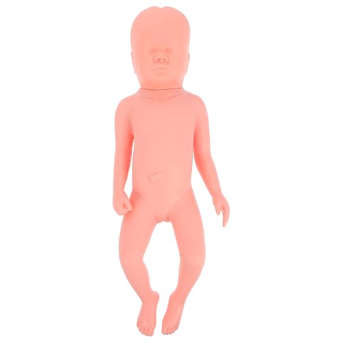 Cabilock Vollzeit Fetus Modell mit Nabelschnurpflegemodell Embryo Modell als Trainingshilfe für Medizinische Ausbildung Pflege Realistische von Cabilock