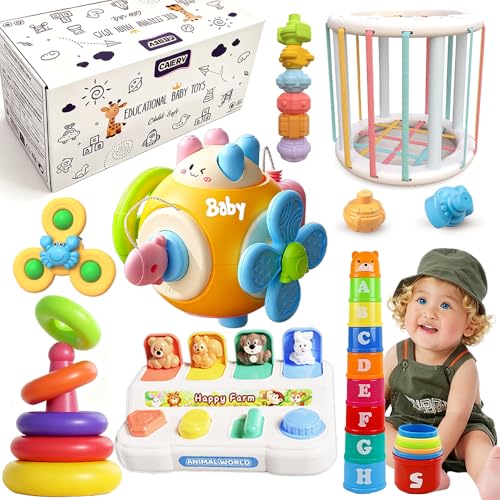 Caiery 6 in 1 Baby Spielzeug für 6 12 18 Monate Montessori Spielzeug Sensorisches Baby Spielzeug Stapelspielzeug Blöcken Formsortier Würfe Spielzeug von Caiery