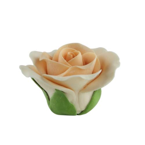 COXIMUS "backen und mehr" Feinzuckerrosen apricot groß 50mm 6 Stck | Zuckerblumen zur Dekoration von Kuchen und Torten COXIMUS "backen und mehr" Feinzuckerrosen apricot groß 50mm 6 Stck | Zuckerblumen zur Dekoration von Kuchen und Torten von Cake Company