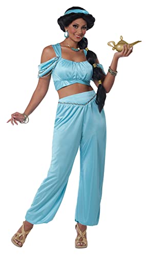 California Costumes, Klassische arabische Prinzessin, Erwachsene S, Jade von California Costumes