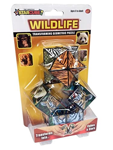 California Creations 5527769 StarCube Wildlife Modelliermaterial von California Creations