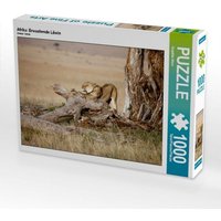 Afrika: Erwachende Löwin (Puzzle) von Calvendo Puzzle