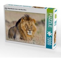 Afrika: Majestätischer Löwe in der Masai Mara (Puzzle) von Calvendo Puzzle