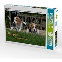 Agle Puppies (Puzzle) von Calvendo Puzzle