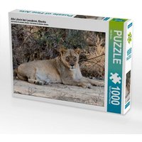 Alte Löwin bei Leeubron, Etosha (Puzzle) von Calvendo Puzzle