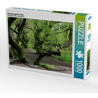 Amselausguck im Mai (Puzzle) von Calvendo Puzzle