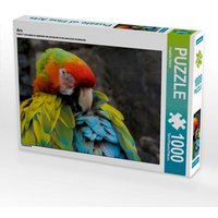 Ara (Puzzle) von Calvendo Puzzle