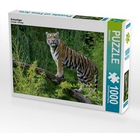 Armurtiger (Puzzle) von Calvendo Puzzle