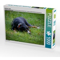 Auf der Lauer (Puzzle) von Calvendo Puzzle