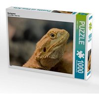 Bartagame (Puzzle) von Calvendo Puzzle