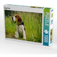 Beagle-Welpe (Puzzle) von Calvendo Puzzle