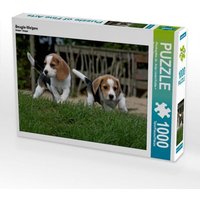 Beagle-Welpen (Puzzle) von Calvendo Puzzle