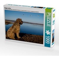 Berger de Brie (Puzzle) von Calvendo Puzzle