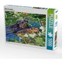 CALVENDO Puzzle Biber mit Jungtier 1000 Teile Lege-Größe 64 x 48 cm Foto-Puzzle Bild von Kattobello von Calvendo Puzzle