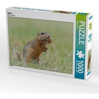 Bild 6 (Puzzle) von Calvendo Puzzle