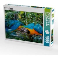 Blauer Ara Papagei (Puzzle) von Calvendo Puzzle
