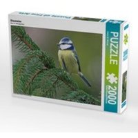 Blaumeise (Puzzle) von Calvendo