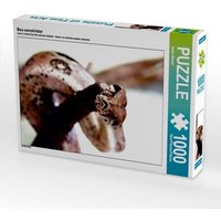 Boa constrictor (Puzzle) von Calvendo Puzzle