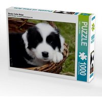 Border Collie Welpe (Puzzle) von Calvendo Puzzle