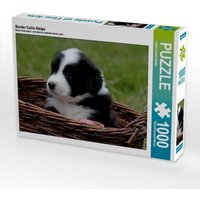 Border Collie Welpe (Puzzle) von Calvendo Puzzle