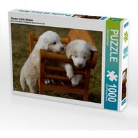 Border Collie Welpen (Puzzle) von Calvendo Puzzle